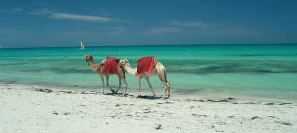 Djerba - Tunisia